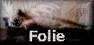 Poème d'amour folie