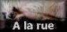 Poème à la rue
