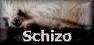 Poème schizophrénie