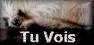 Poème d'amour tu vois